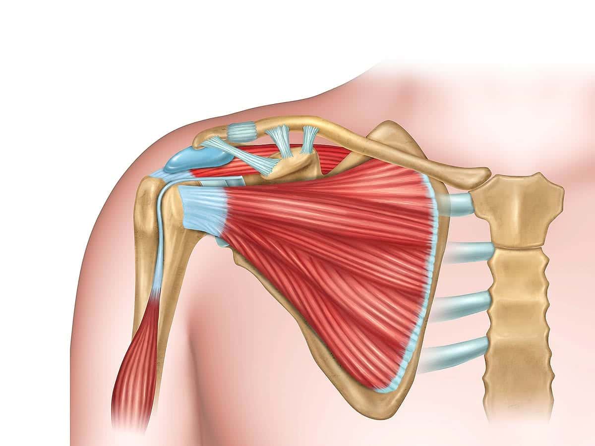 What Is Rotator Cuff Injury?, Symptoms ,Causes, Diagnosis & Physiotherapy  Treatment Of Rotator Cuff Injury